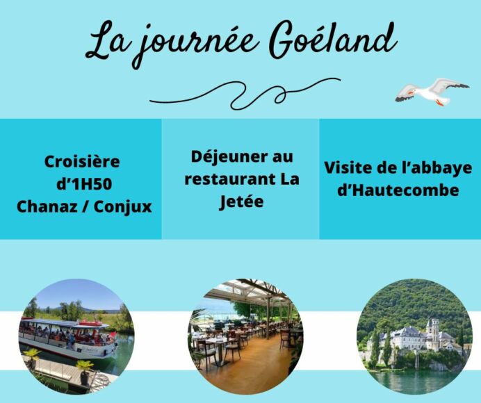 Journée goéland