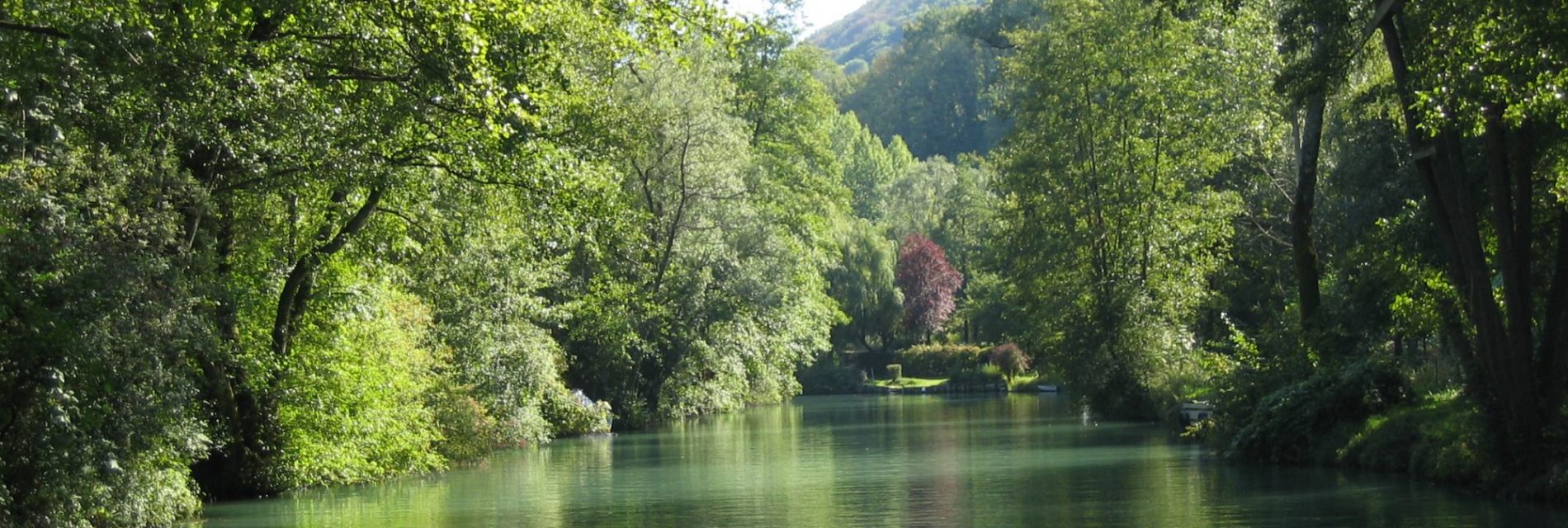 Le Canal de Savières verdoyant