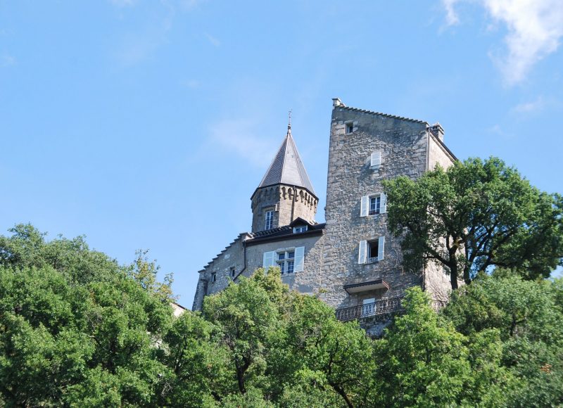 Château de Chatillon vu du bateau promenade