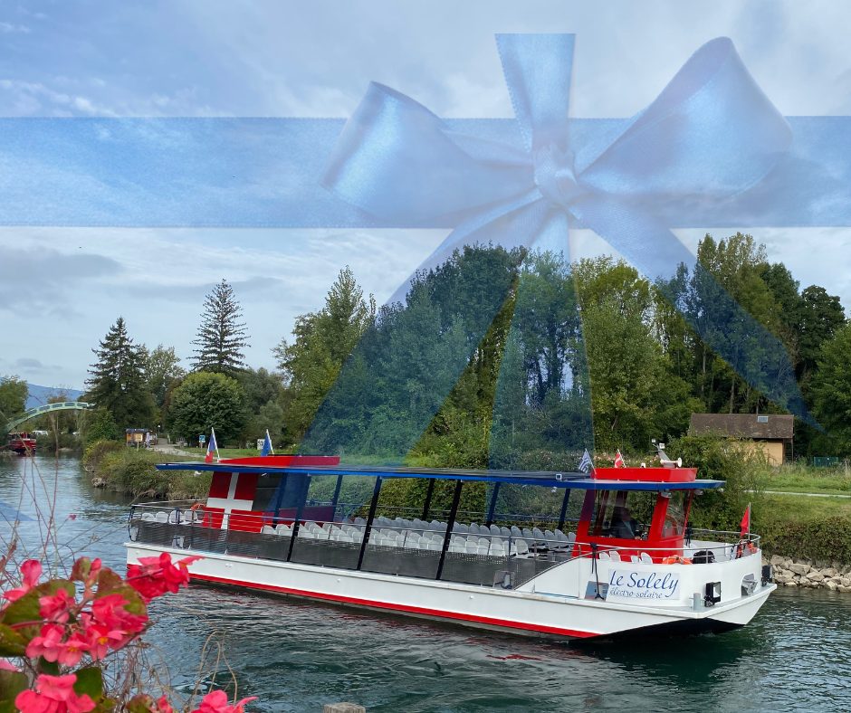 Le Solely Electrosolaire