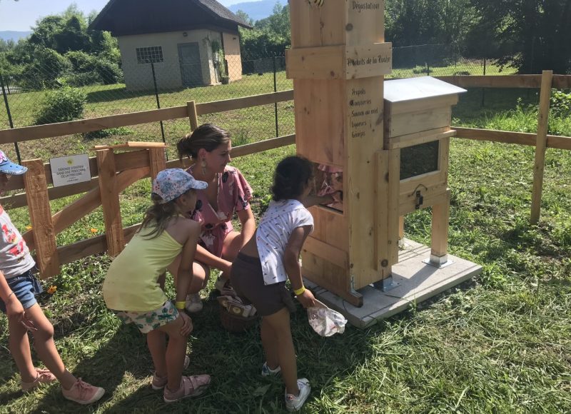 Visite de la ruche pédagogique