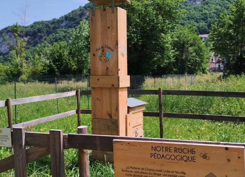 la ruche pédagogique à Chanaz