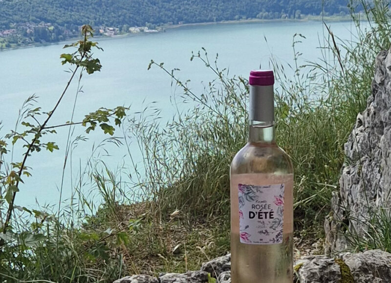 Vin Rosé La Petite Rosée D'été Vignoble Lorgeril